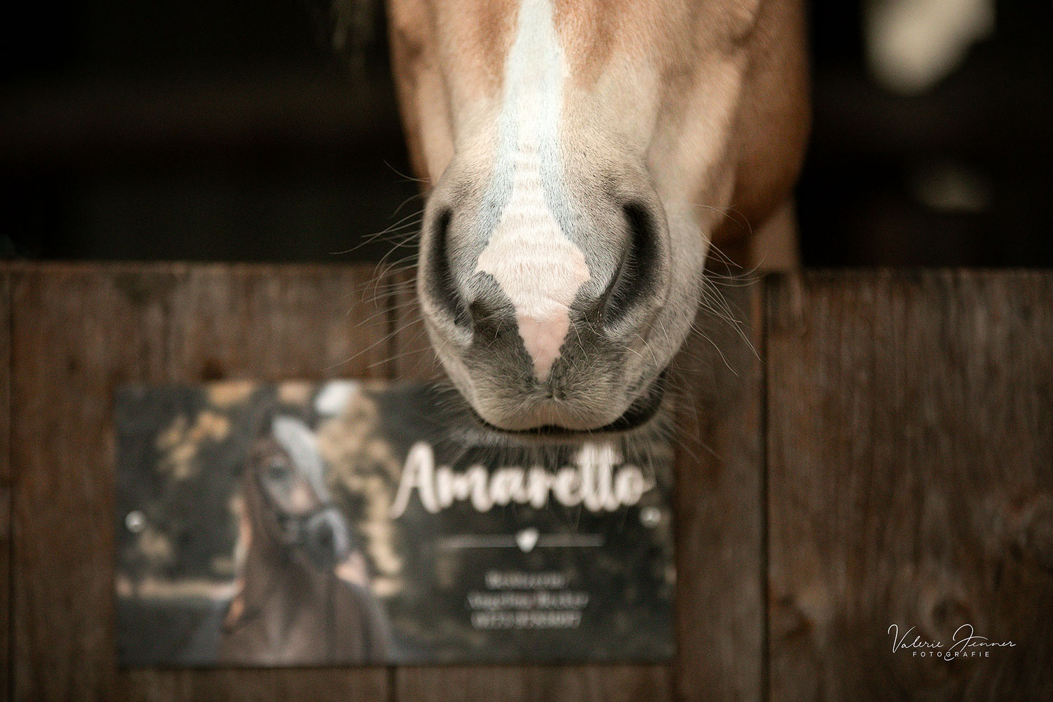 Produktfotos vjboxenschild.de