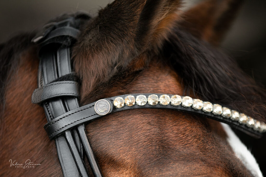 bridlery_closeup