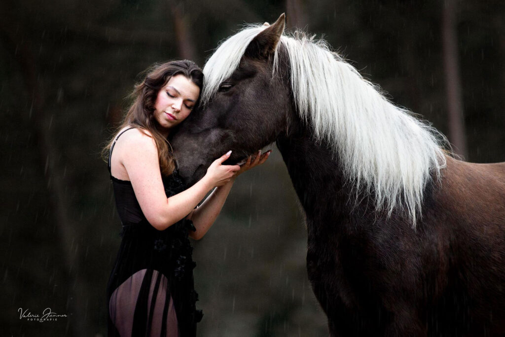 emotionale-tierfotografie-pferde