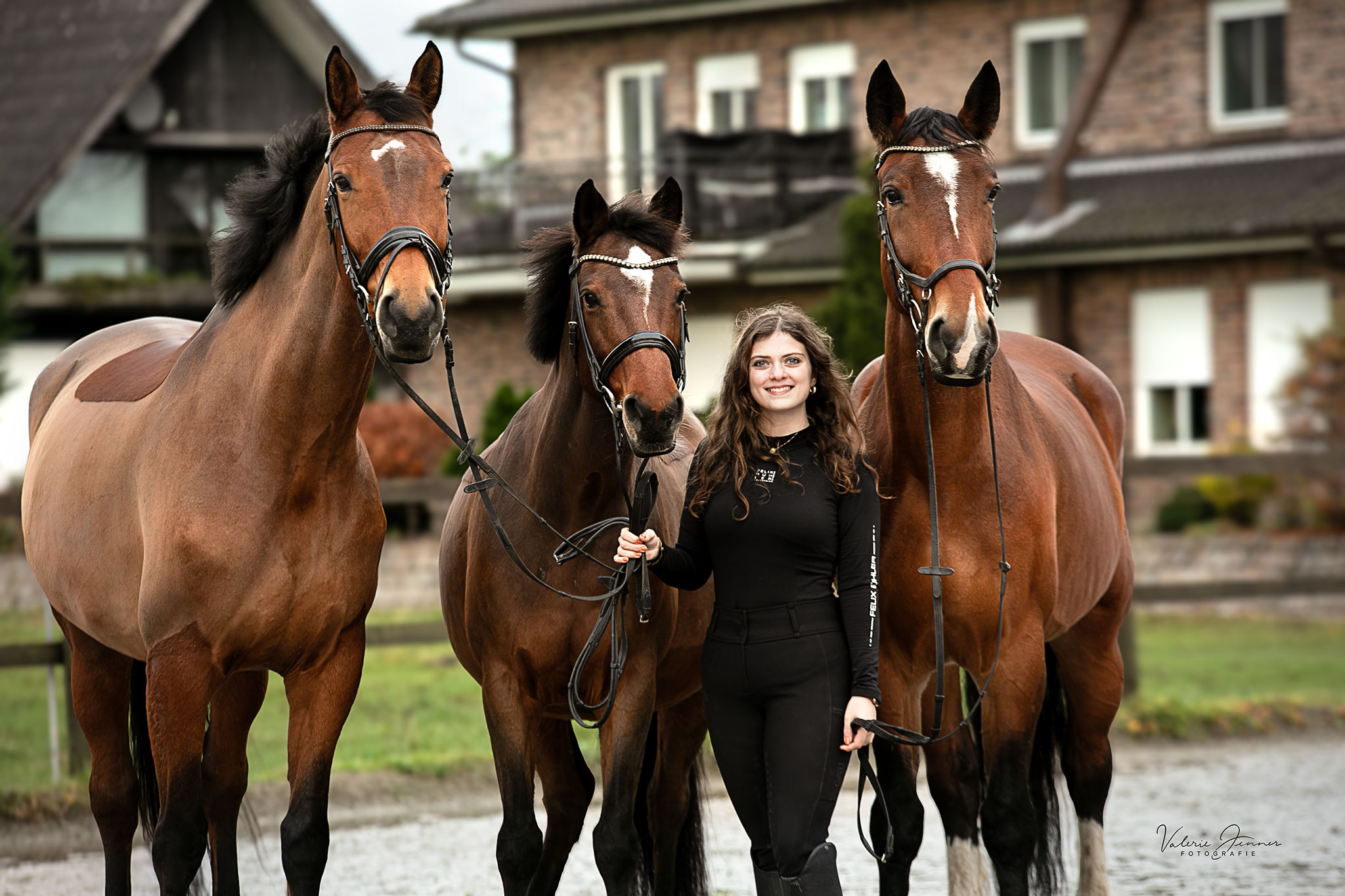 Equinora x Equestrianmillie