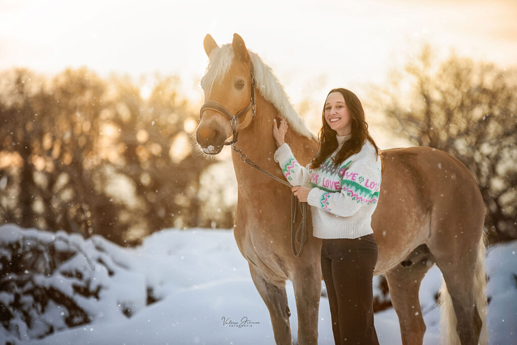 pferd_schnee_sonnenuntergang