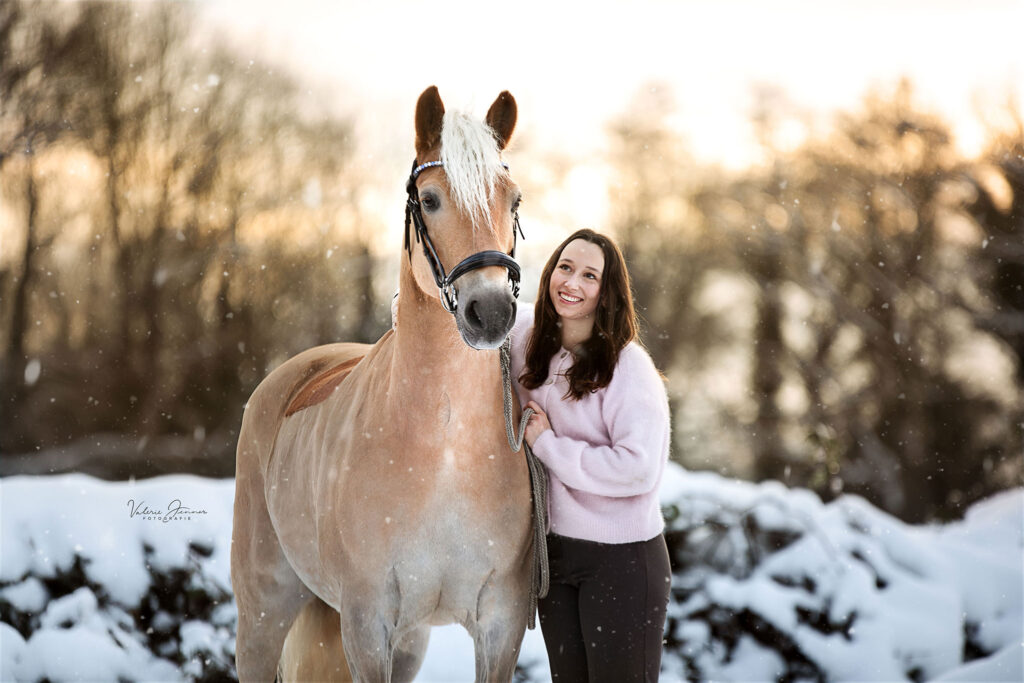 pferd_schnee_sonnenuntergang.jpg2