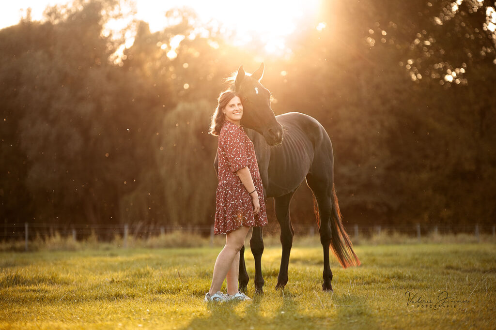 pferd_sonnenuntergang_pferdefotografie