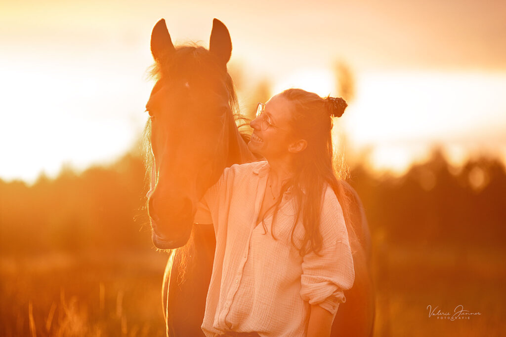 pferd_sonnenuntergang_valeriejenner